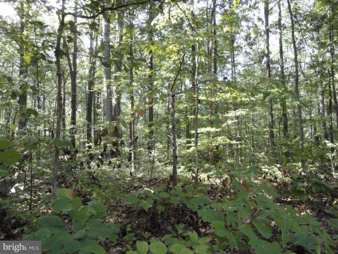 Heflin Rd Road Stafford, VA 22556 - Photo 2 of 6 View