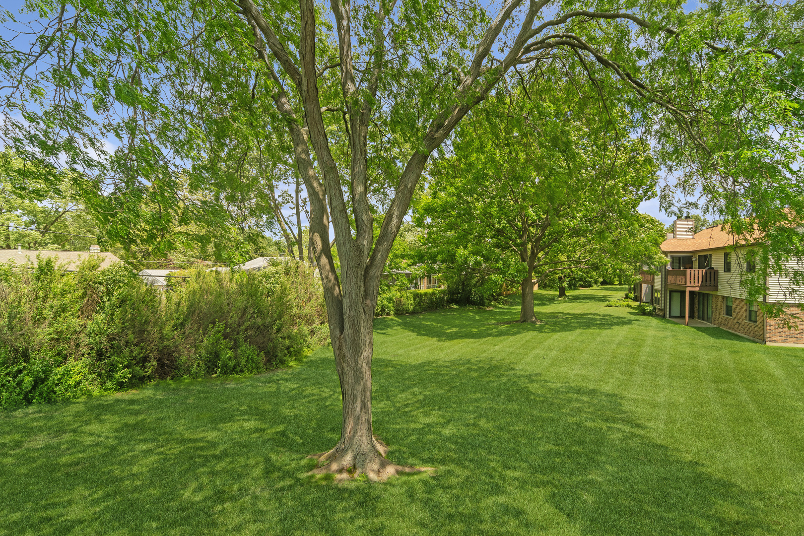 763 White Pine Road, Unit 5A2 Buffalo Grove, IL 60089 - Photo 19 of 20