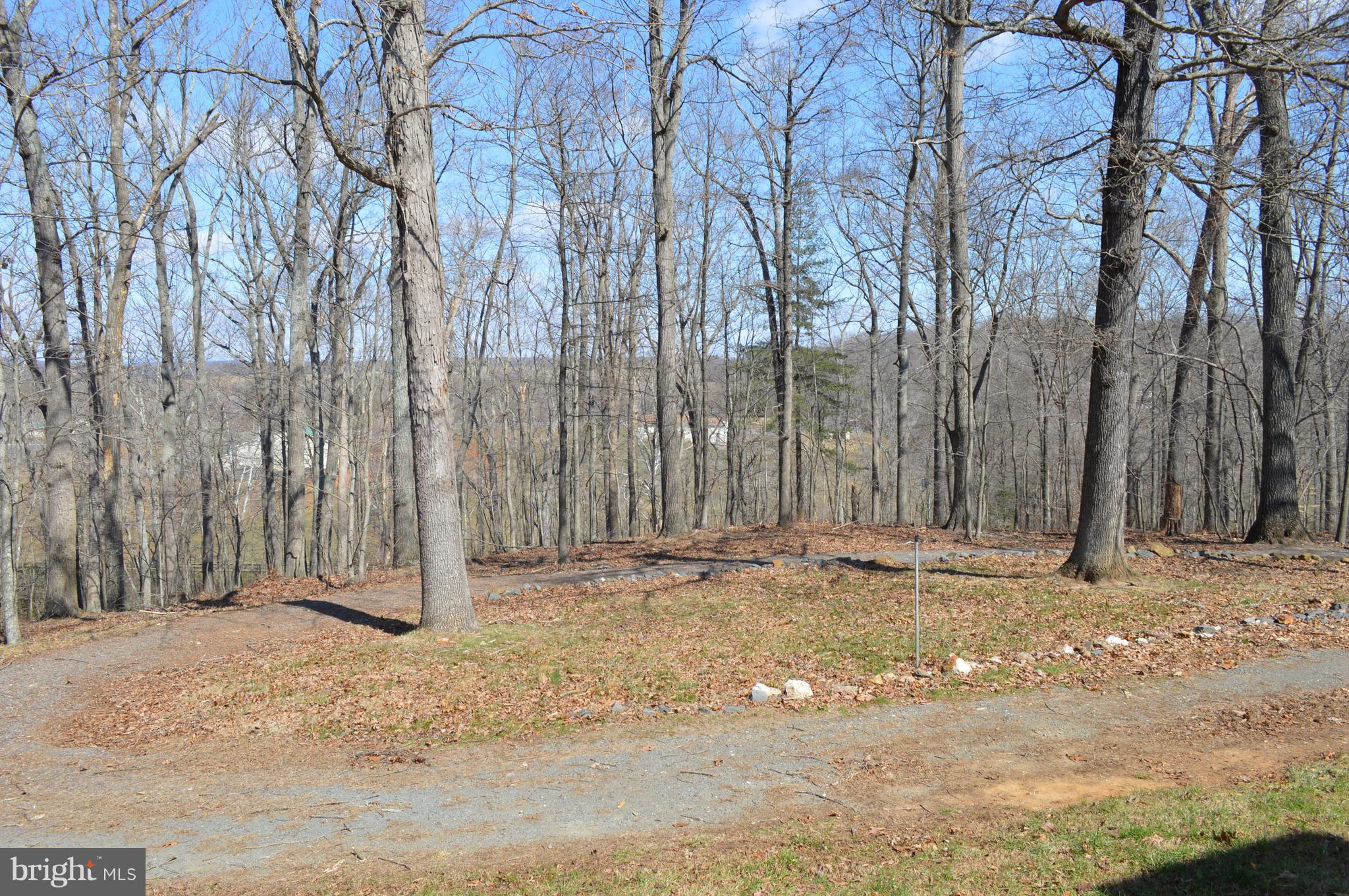 8560 Monumental Mills Road Rixeyville, VA 22737 - Photo 3 of 28 a view of a backyard of the house