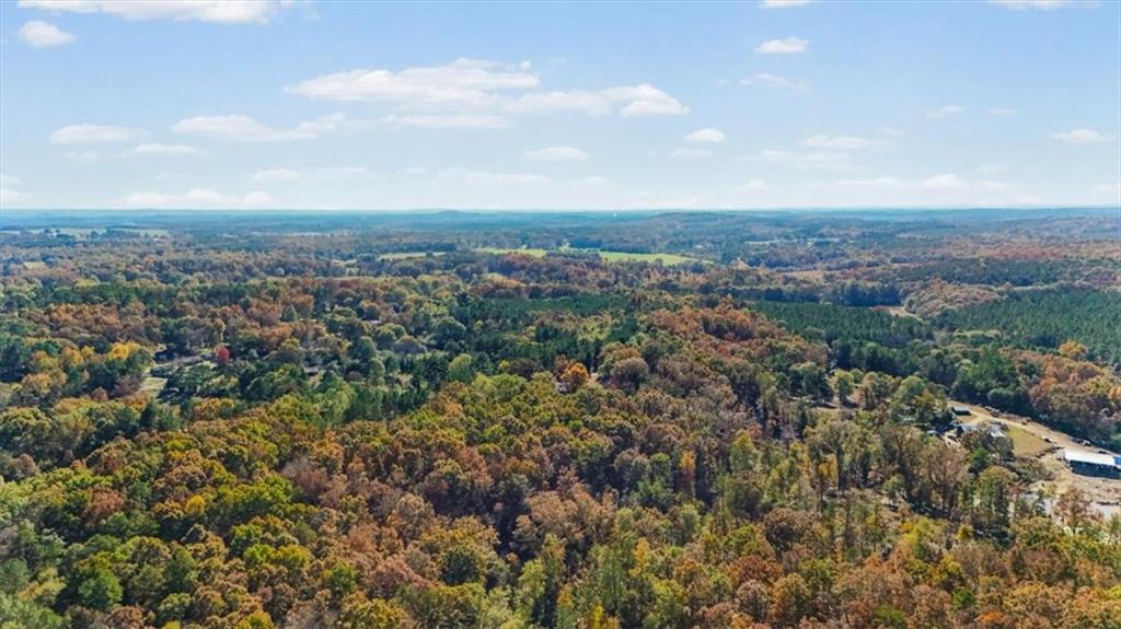 110 A Williams Road Southeast Silver Creek, GA 30173 - Photo 54 of 61 an aerial view of residential house with green space