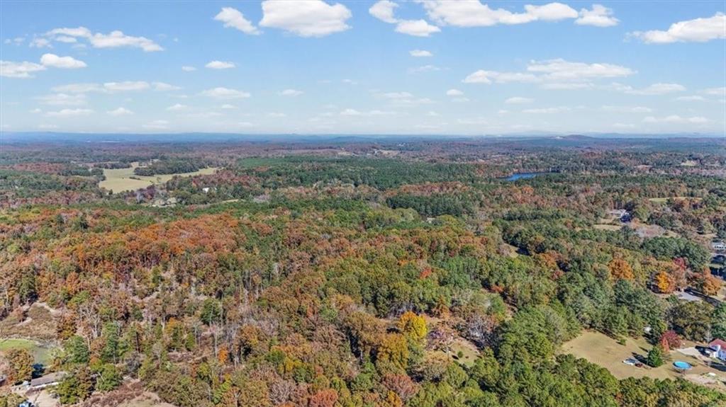 110 A Williams Road Southeast Silver Creek, GA 30173 - Photo 57 of 61 a view of a city with lush green forest