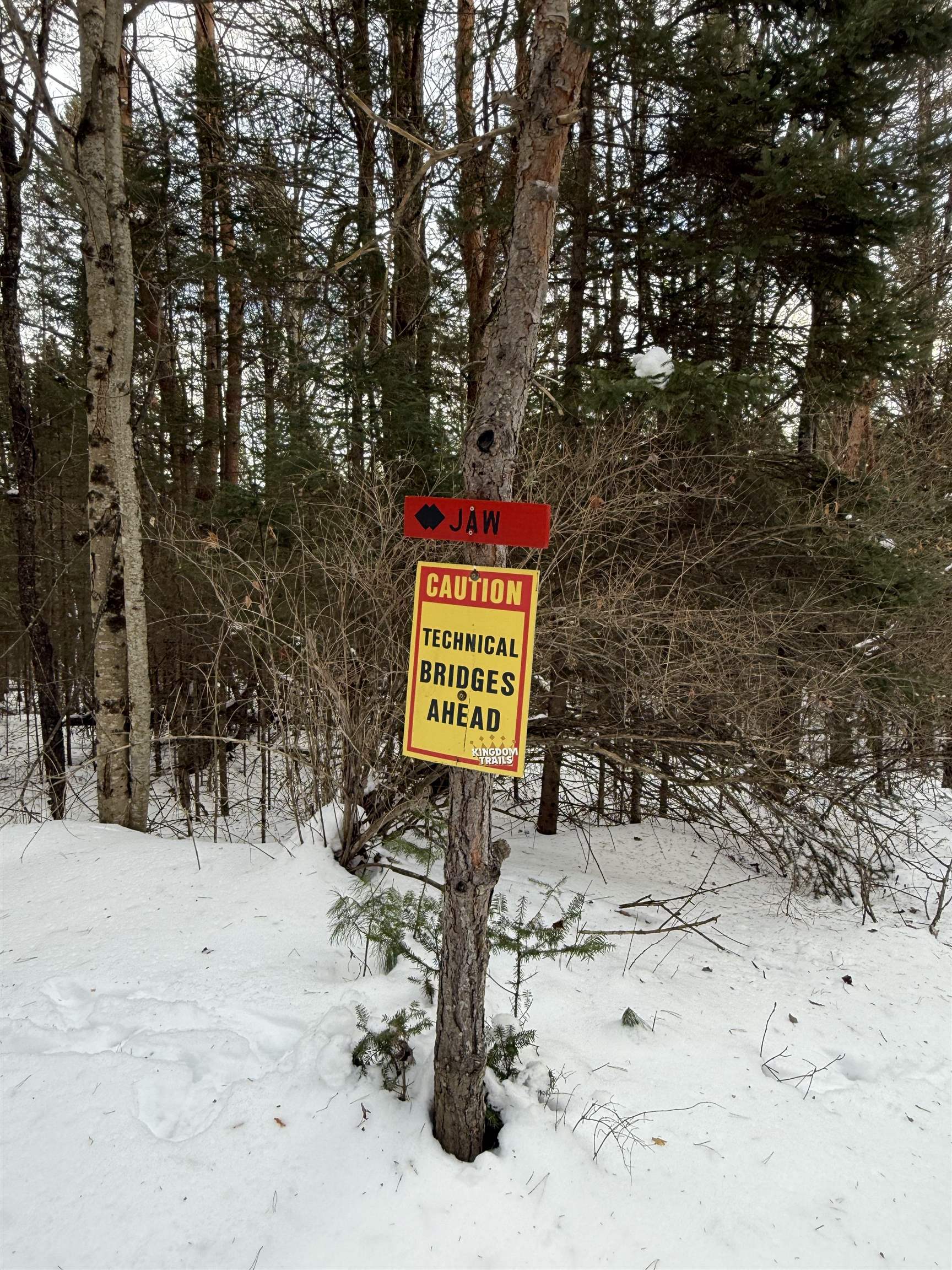 0 Darling Hill Road, Unit LOT 3 Lyndonville, VT 05851 - Photo 26 of 27