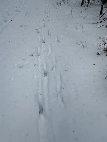 $250,000 | 0 Darling Hill Road, Unit LOT 3, Lyndonville, VT 05851