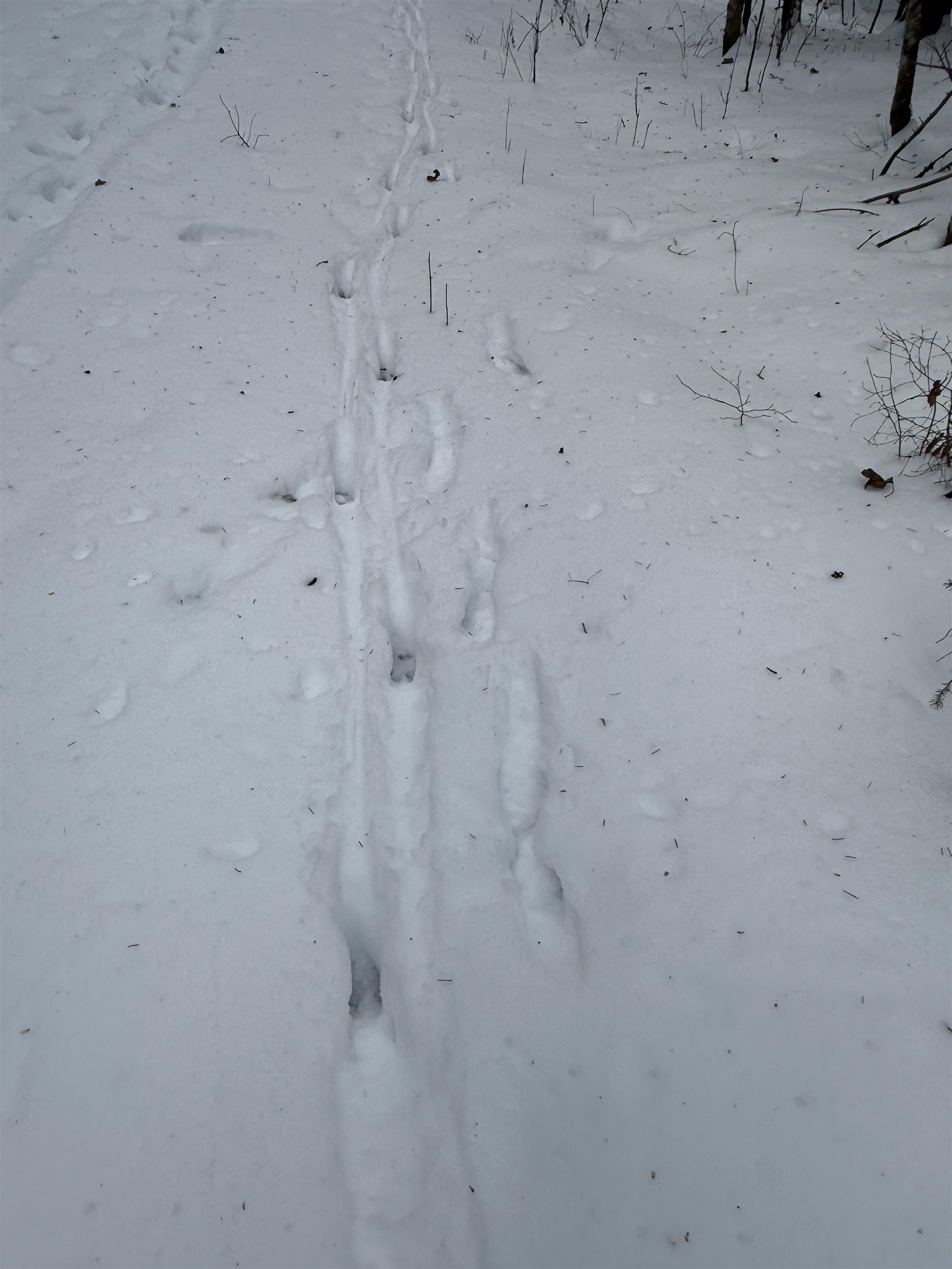 0 Darling Hill Road, Unit LOT 3 Lyndonville, VT 05851 - Photo 27 of 27