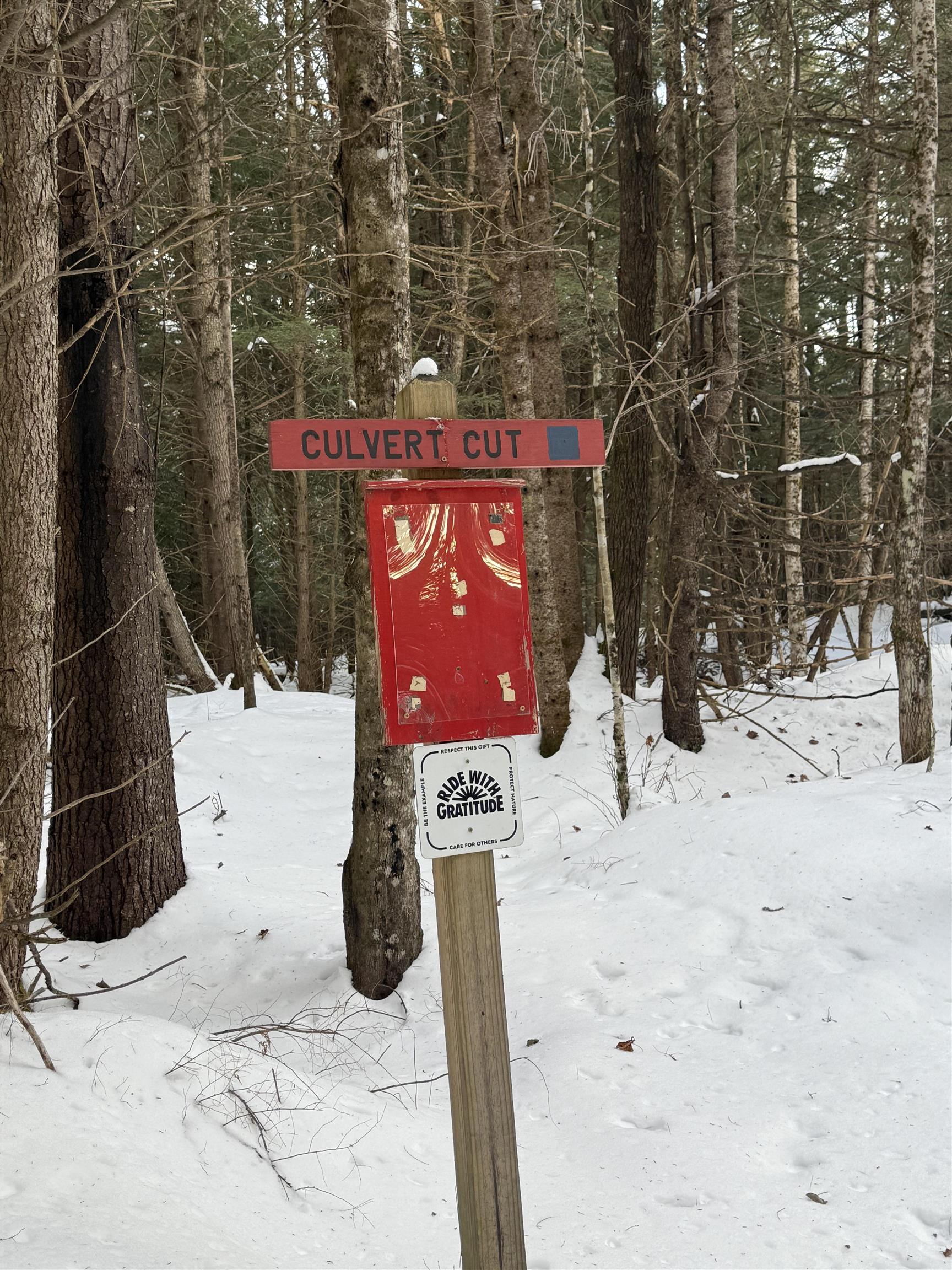 0 Darling Hill Road, Unit LOT 3 Lyndonville, VT 05851 - Photo 4 of 27