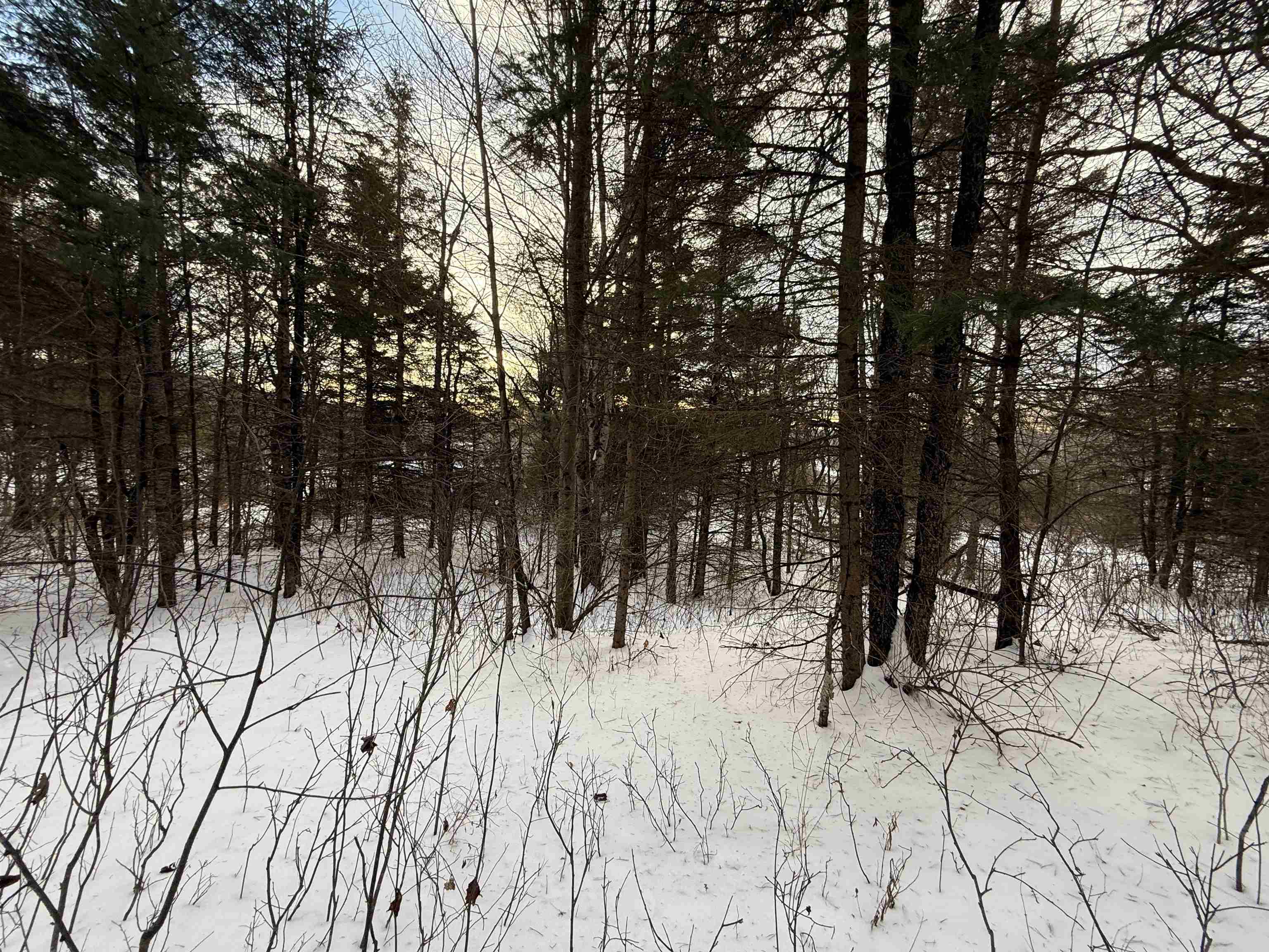 0 Darling Hill Road, Unit LOT 3 Lyndonville, VT 05851 - Photo 5 of 27