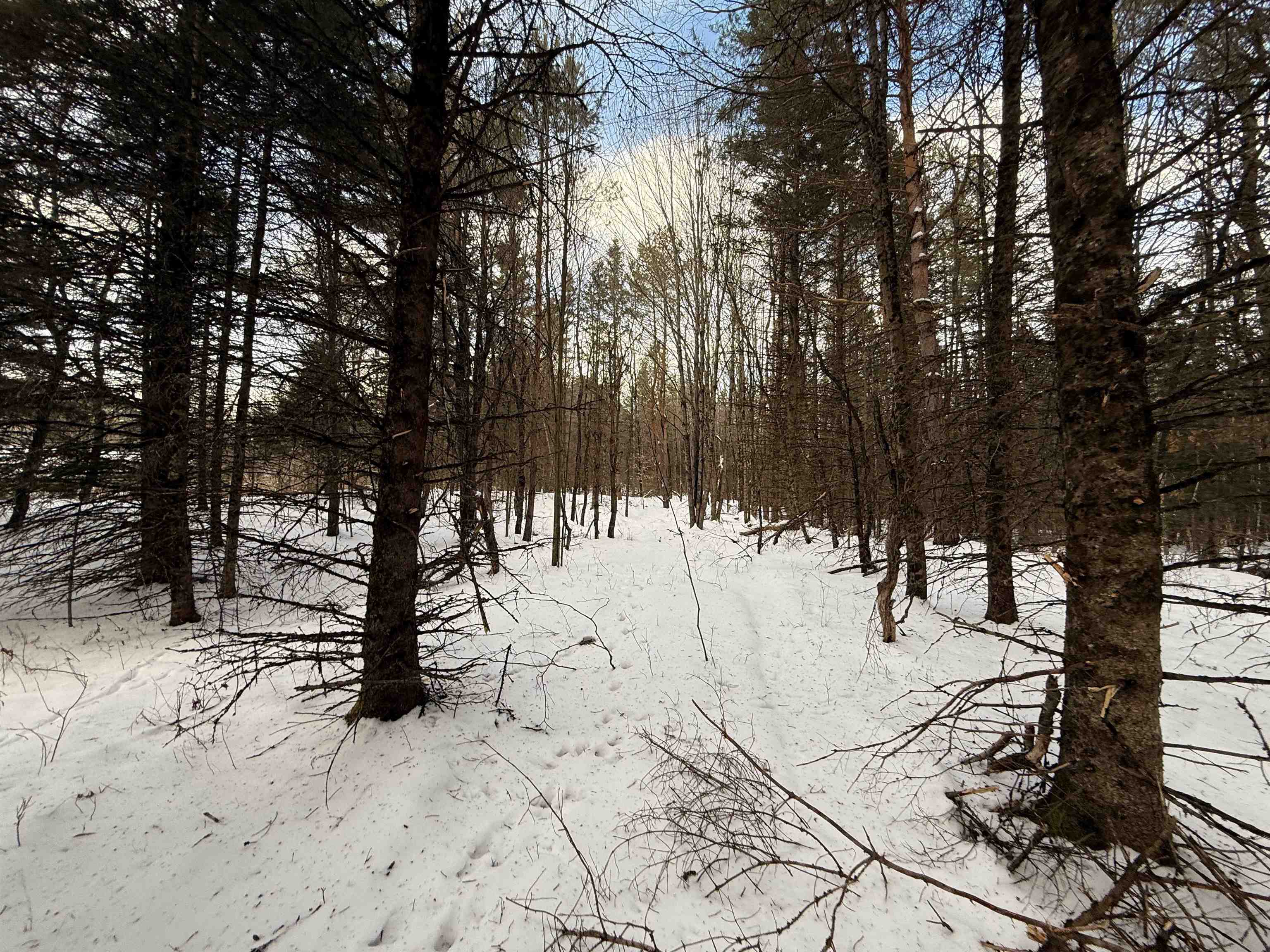 0 Darling Hill Road, Unit LOT 3 Lyndonville, VT 05851 - Photo 7 of 27