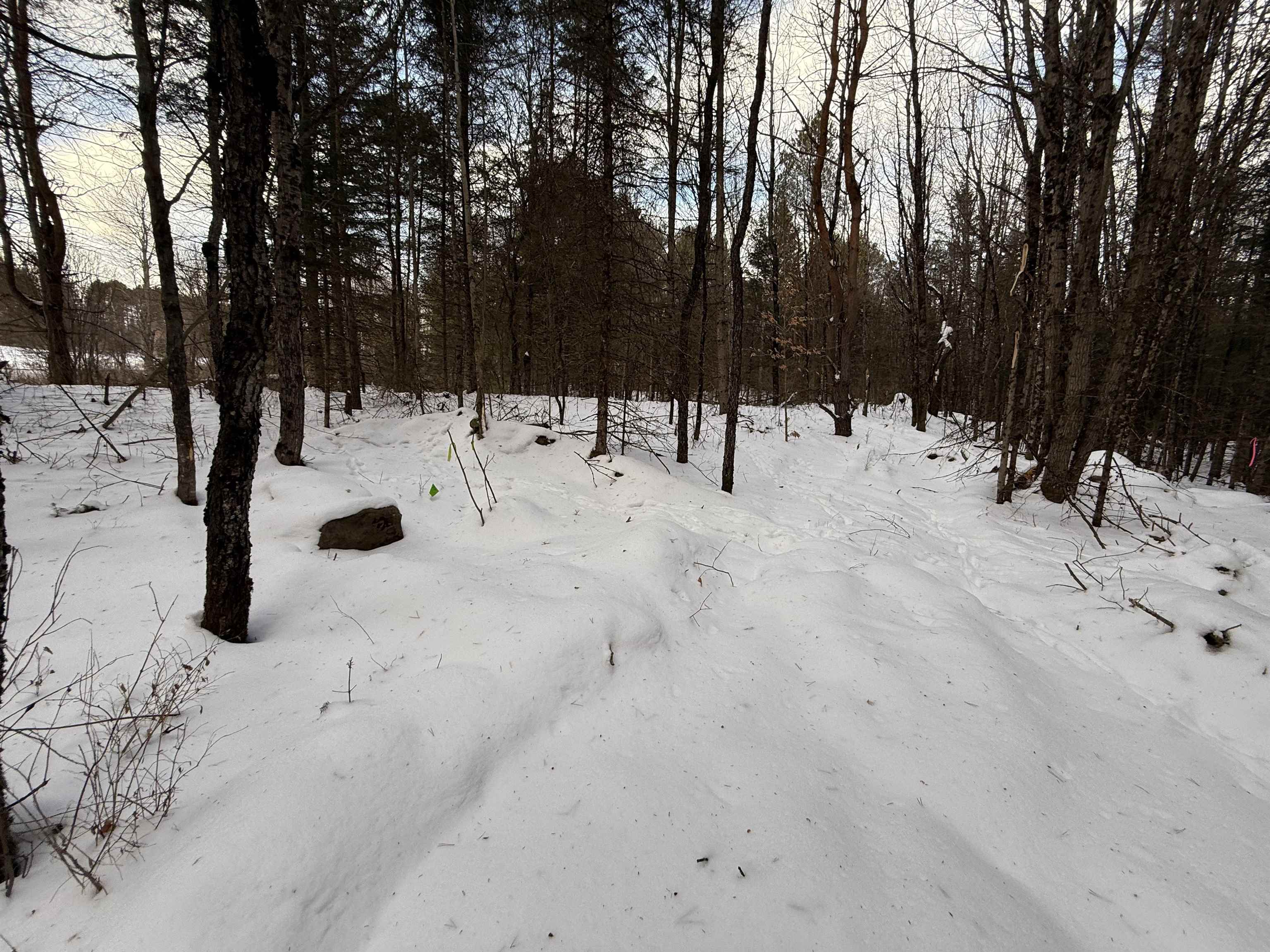 0 Darling Hill Road, Unit LOT 3 Lyndonville, VT 05851 - Photo 8 of 27