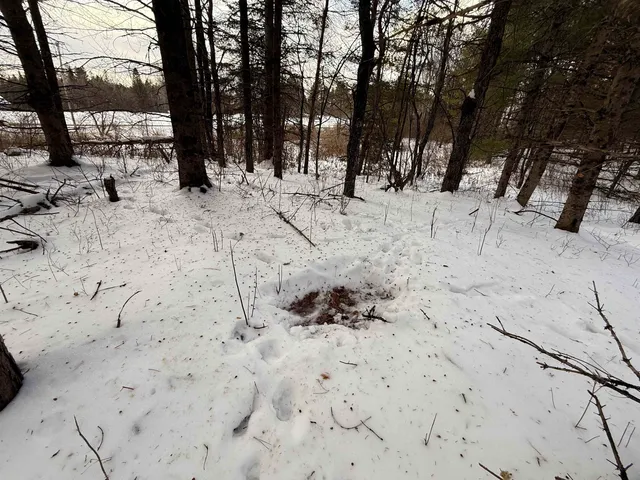 $250,000 | 0 Darling Hill Road, Unit LOT 3, Lyndonville, VT 05851