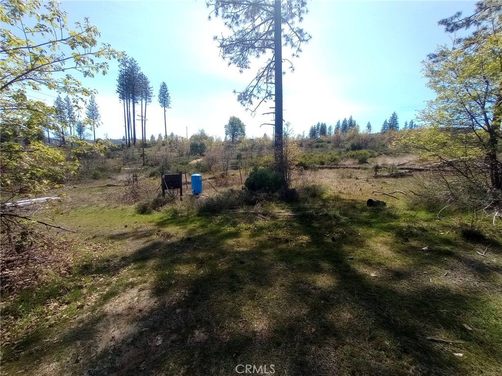 3515 Hoffman Road Oroville, CA 95965 - Photo 10 of 30