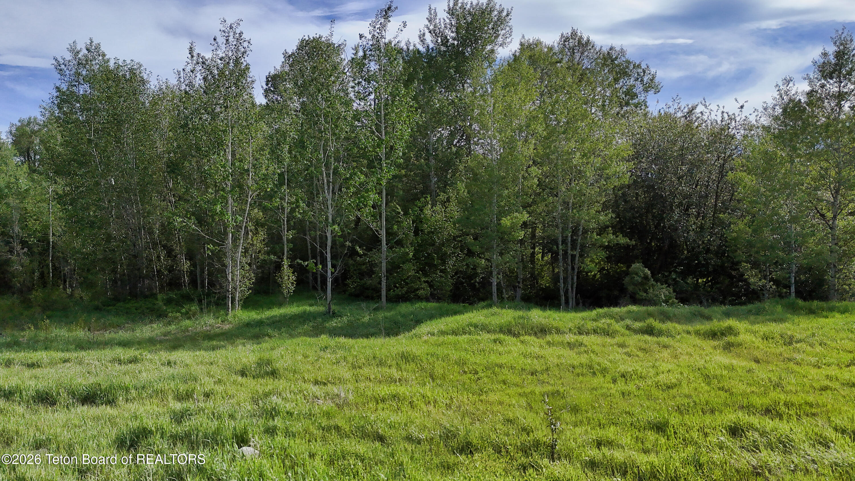 390 South Stateline Road Alta, WY 83414 - Photo 10 of 17 390 S Stateline_For MLS-37