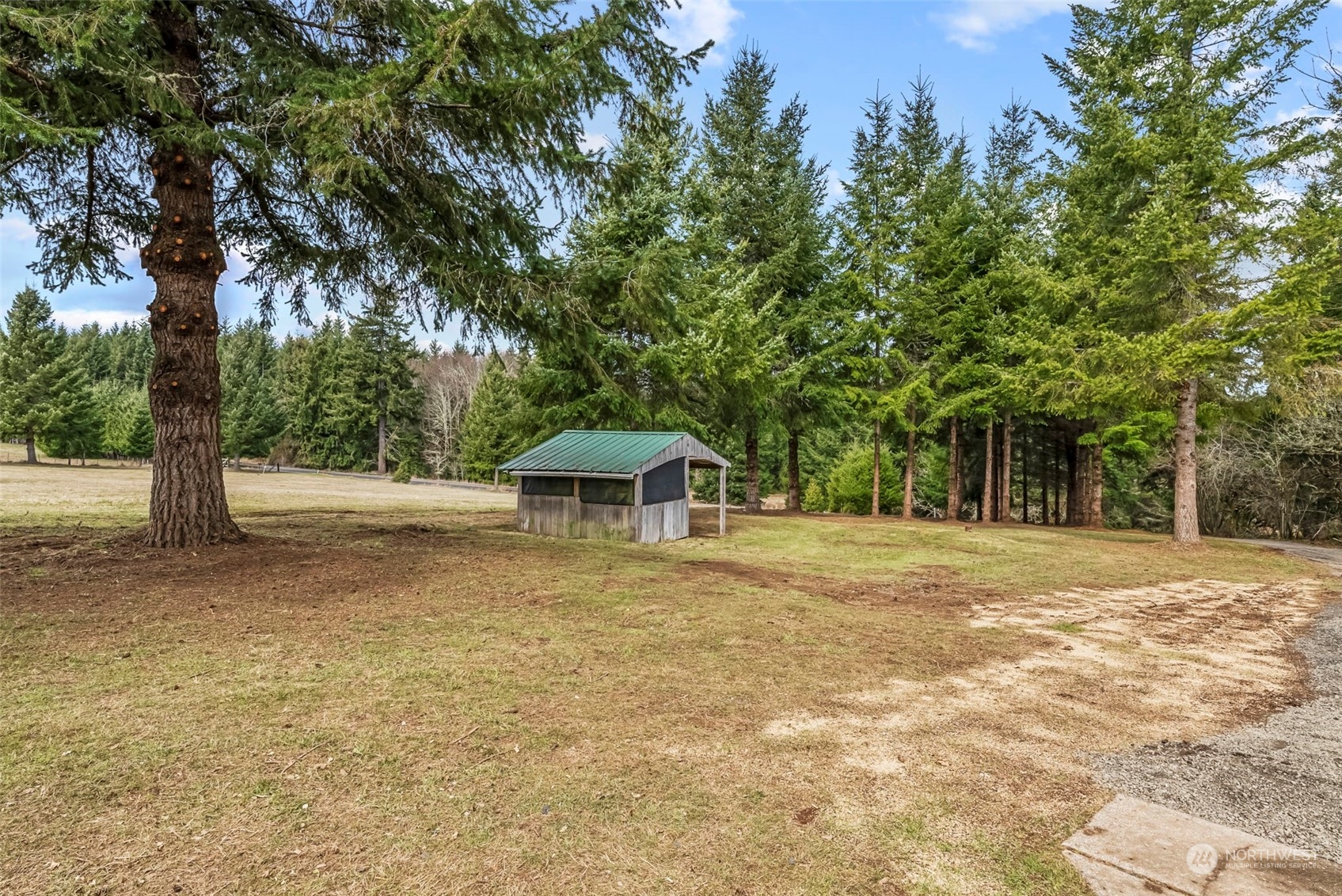 1541 Sightly Road Toutle, WA 98649 - Photo 21 of 30 a front view of a house with a yard and trees