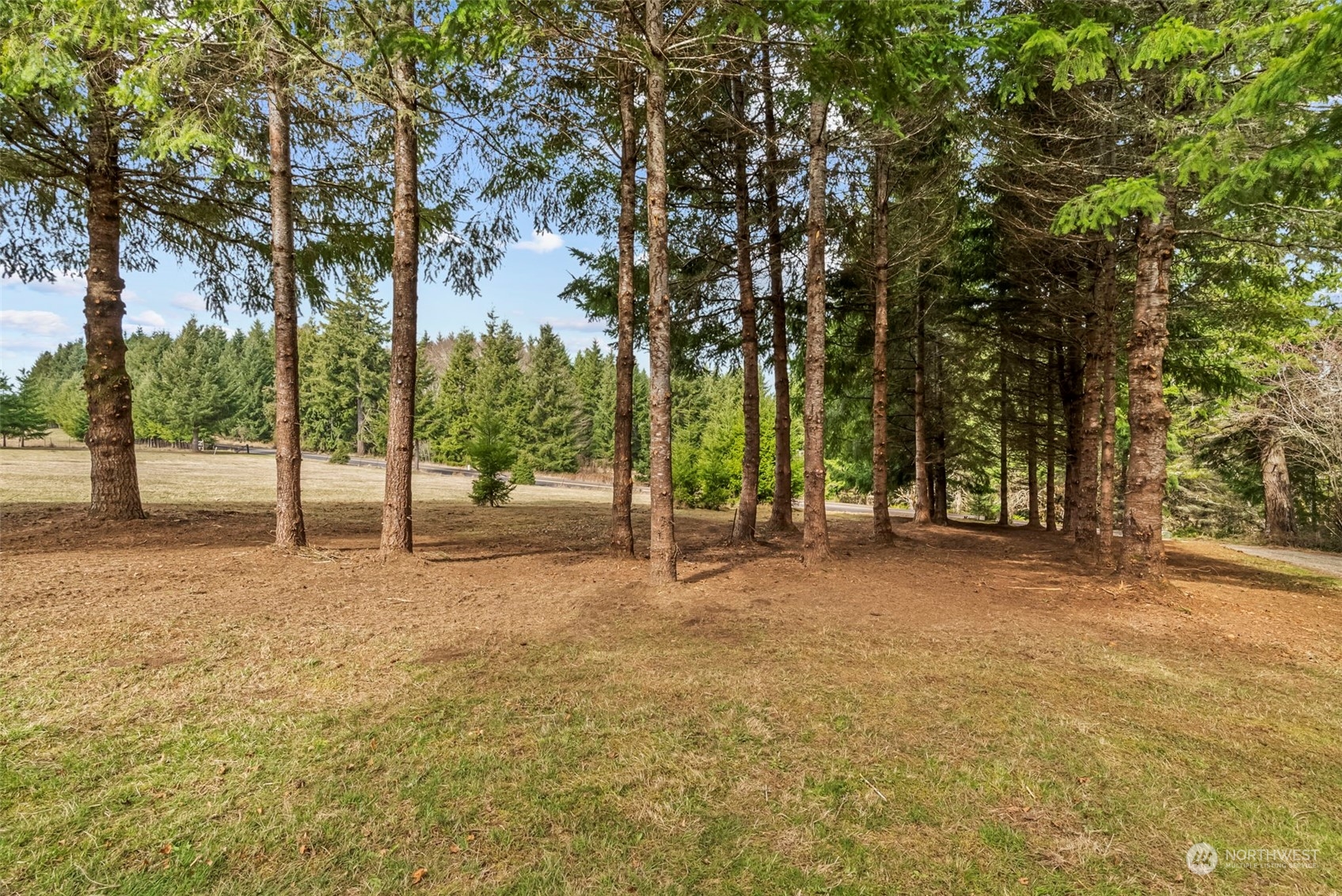 1541 Sightly Road Toutle, WA 98649 - Photo 23 of 30 a view of outdoor space with trees