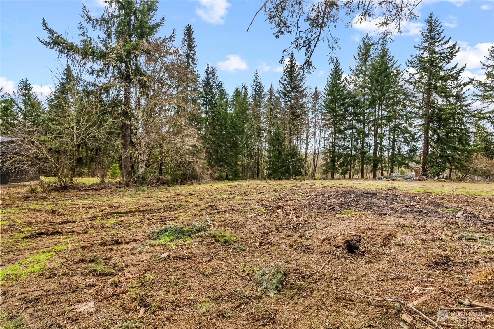 1541 Sightly Road Toutle, WA 98649 - Photo 24 of 30 a view of mountain view with trees