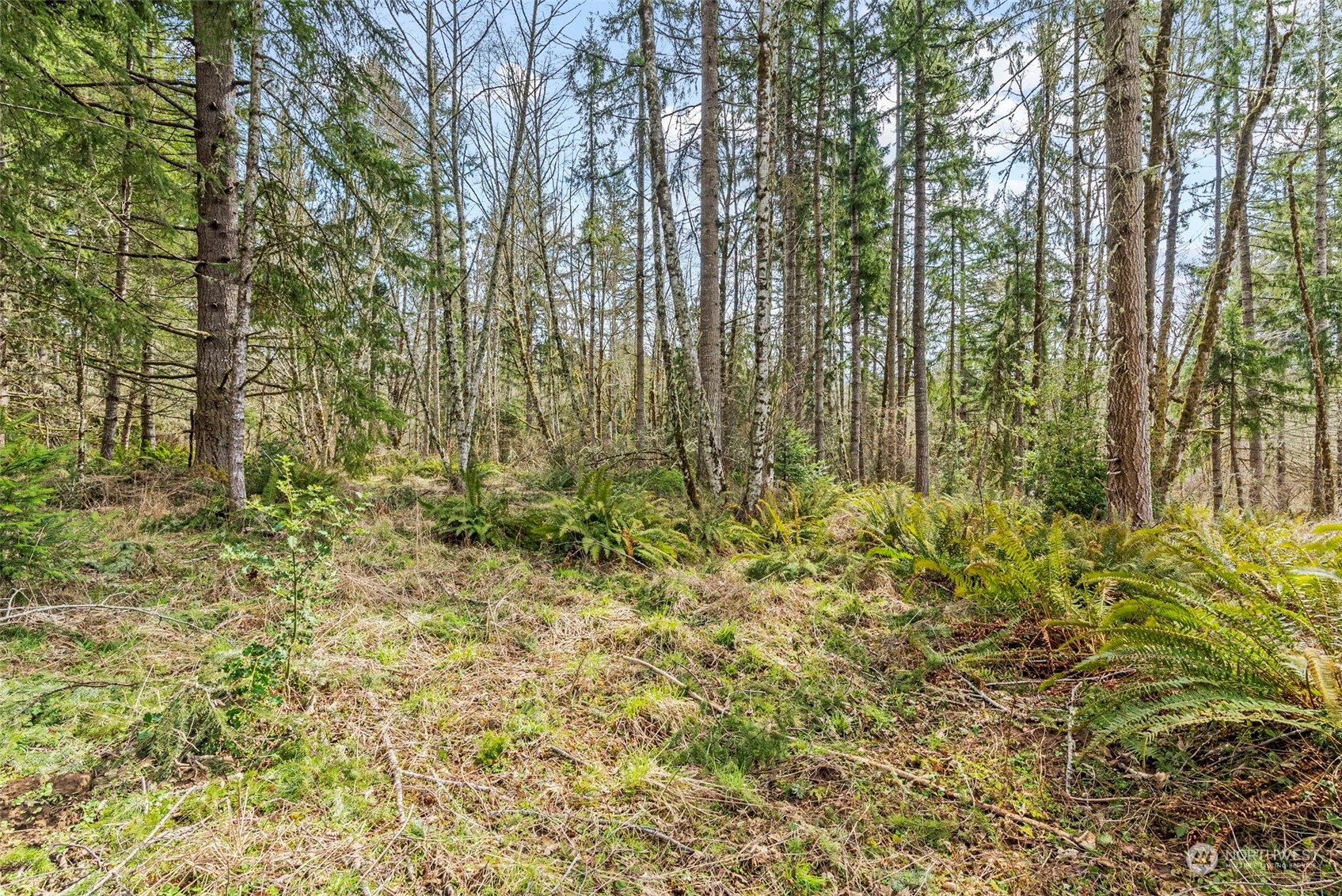 1541 Sightly Road Toutle, WA 98649 - Photo 26 of 30 a view of a garden