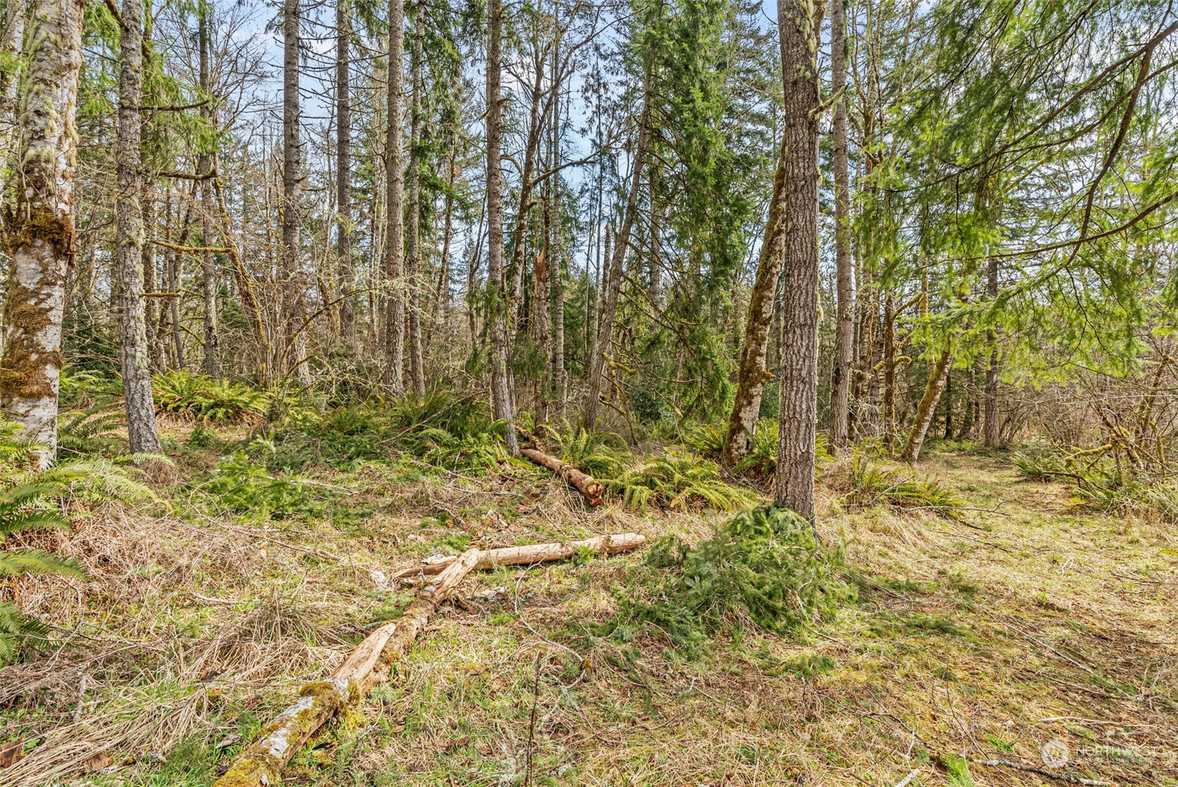 1541 Sightly Road Toutle, WA 98649 - Photo 27 of 30