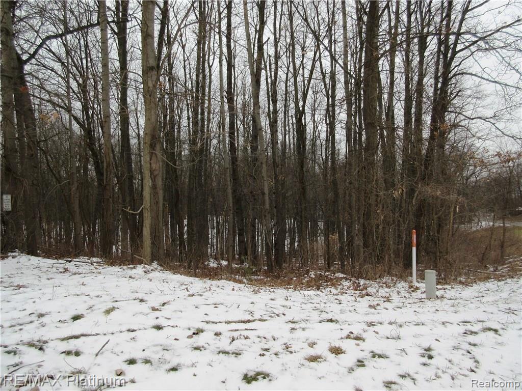 2 Maltby Road Brighton, MI 48116 - Photo 3 of 7