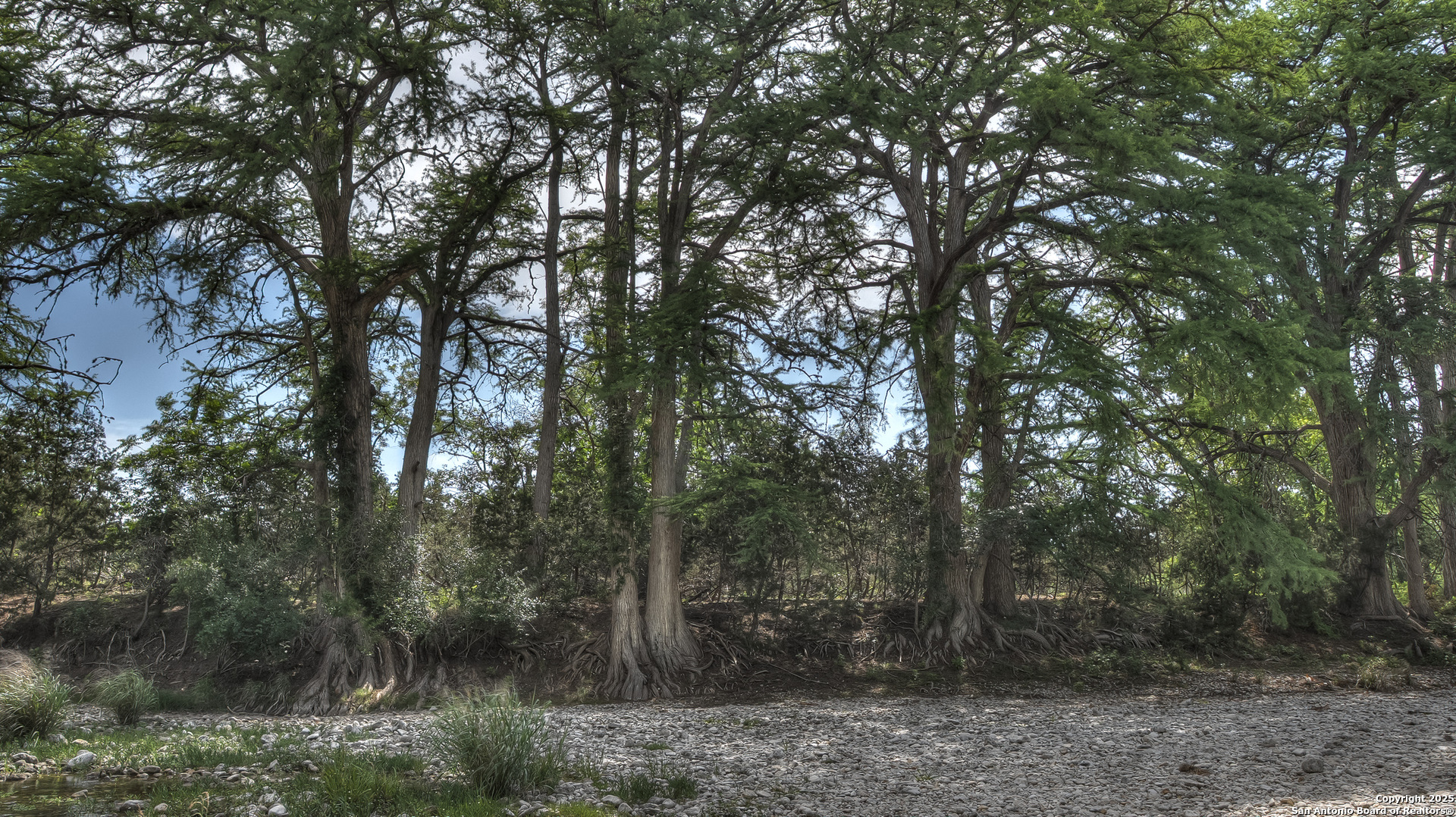 154 Weston Road Leakey, TX 78873 - Photo 11 of 39 a view of a forest with trees in the background