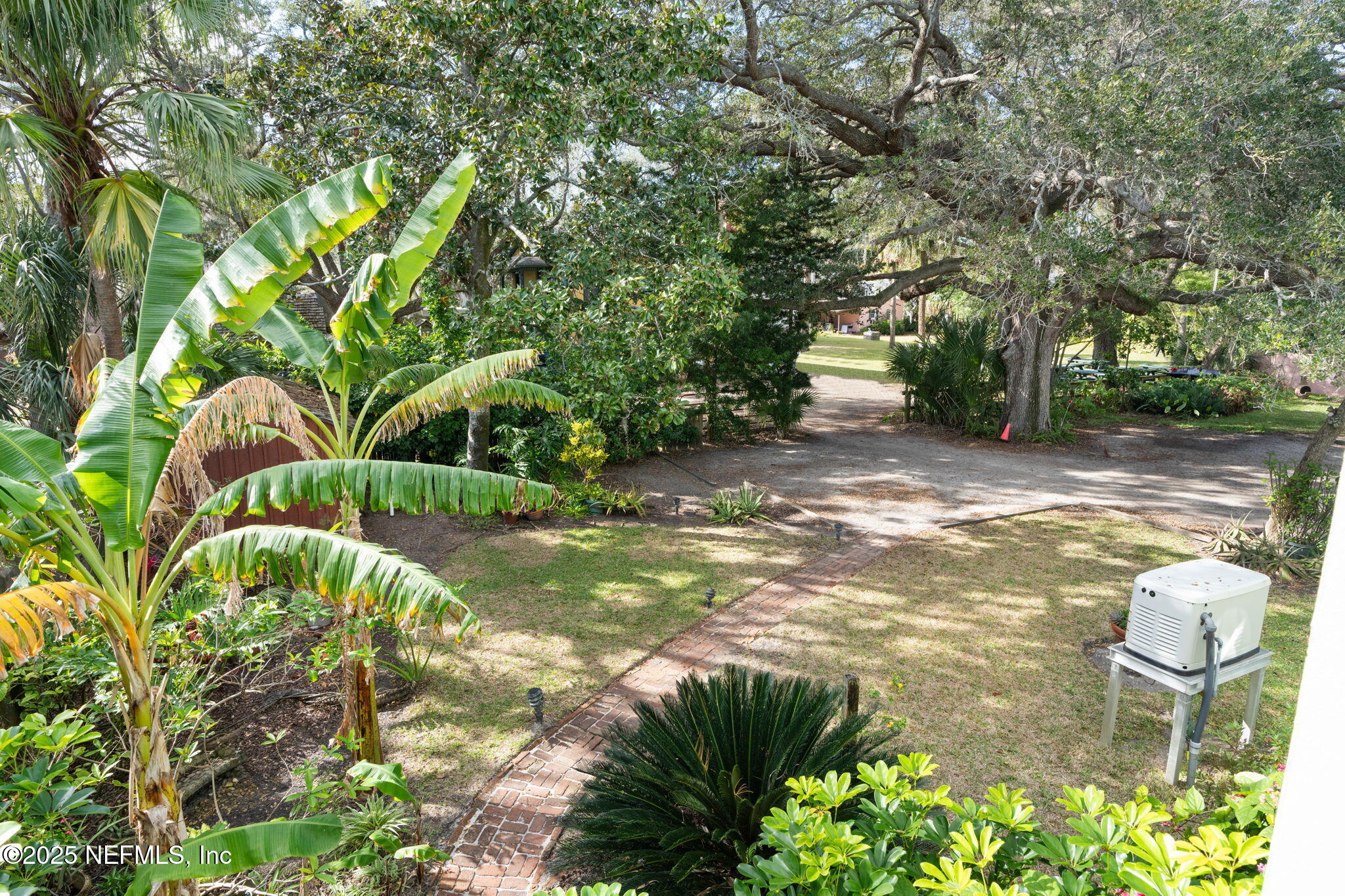 76 Marine Street St. Augustine, FL 32084 - Photo 40 of 60 a view of a garden with plants