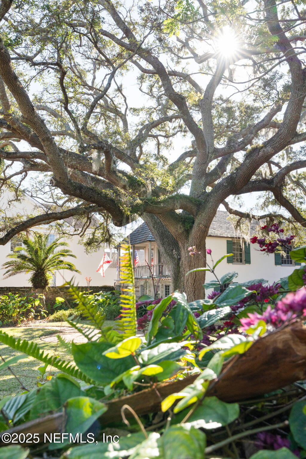 76 Marine Street St. Augustine, FL 32084 - Photo 51 of 60 a picture of flowers