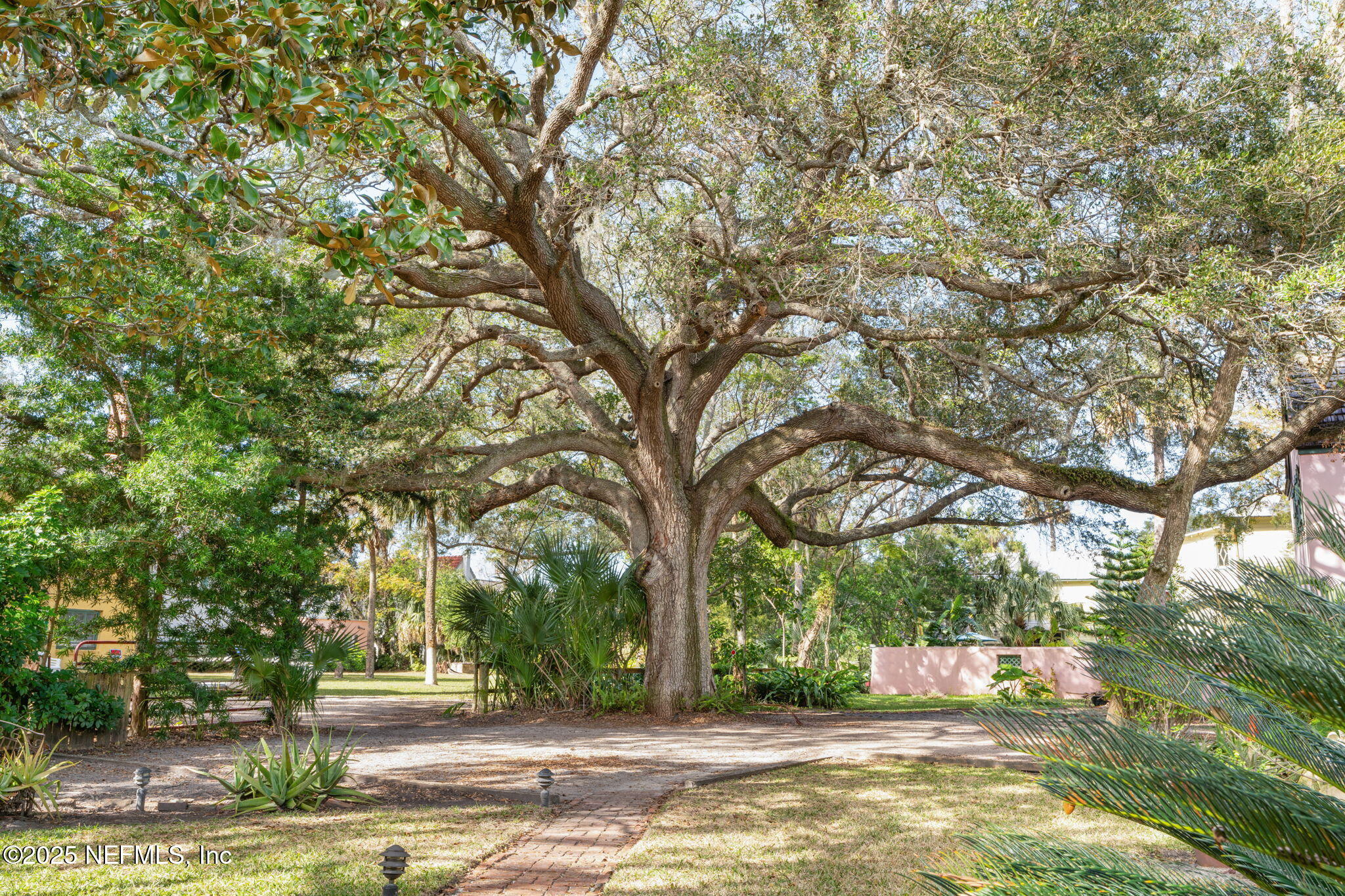76 Marine Street St. Augustine, FL 32084 - Photo 6 of 60 a view of a yard with plants and trees