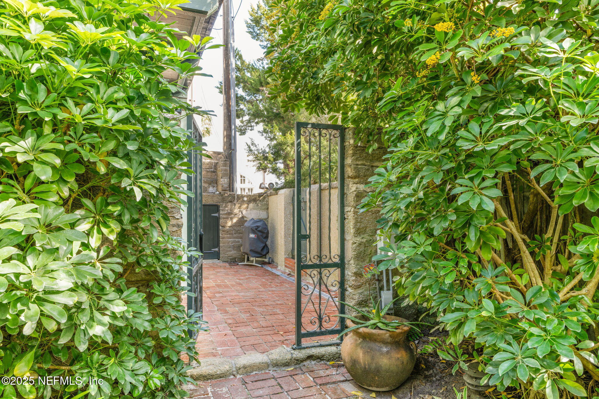 76 Marine Street St. Augustine, FL 32084 - Photo 7 of 60 a view of a porch with plants and wooden fence