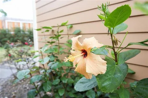 $1,600 | 1423 North Villere Street, Unit B, New Orleans, LA 70116