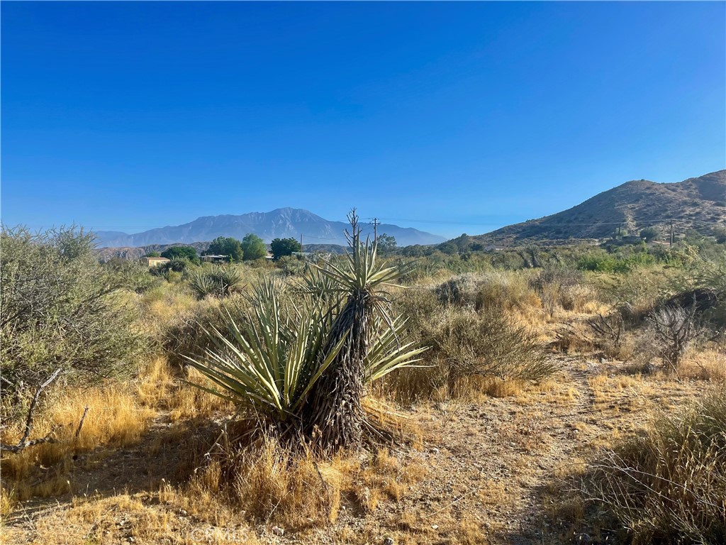 49200 Old Mill Road Morongo Valley, CA 92256 - Photo 3 of 20 a view of a with a yard