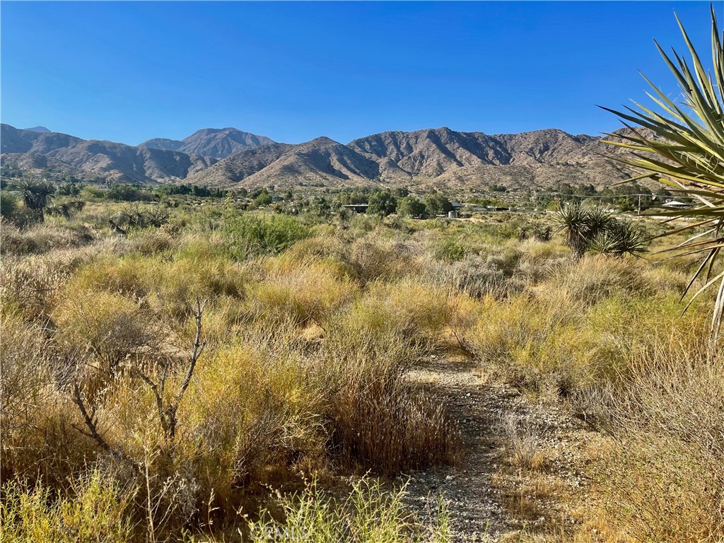 49200 Old Mill Road Morongo Valley, CA 92256 - Photo 8 of 20 a view of a mountain with a forest
