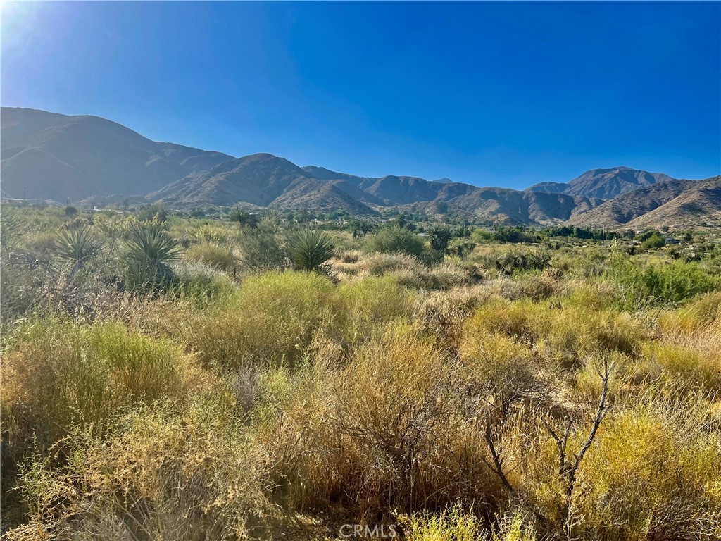 49200 Old Mill Road Morongo Valley, CA 92256 - Photo 9 of 20 a view of a forest with mountains in the background