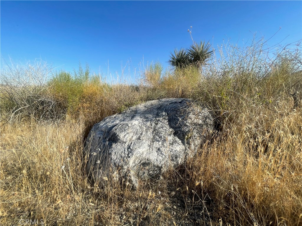 49200 Old Mill Road Morongo Valley, CA 92256 - Photo 10 of 20 a view of a yard