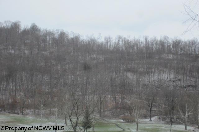 886 Jackson Mill Road Jane Lew, WV 26378 - Photo 12 of 20 Gallery Image 12