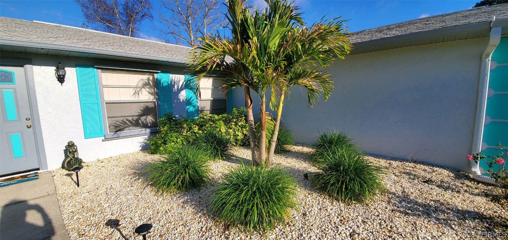 2219 Umbrella Tree Drive Edgewater, FL 32141 - Photo 6 of 45 a plant is in front of a house