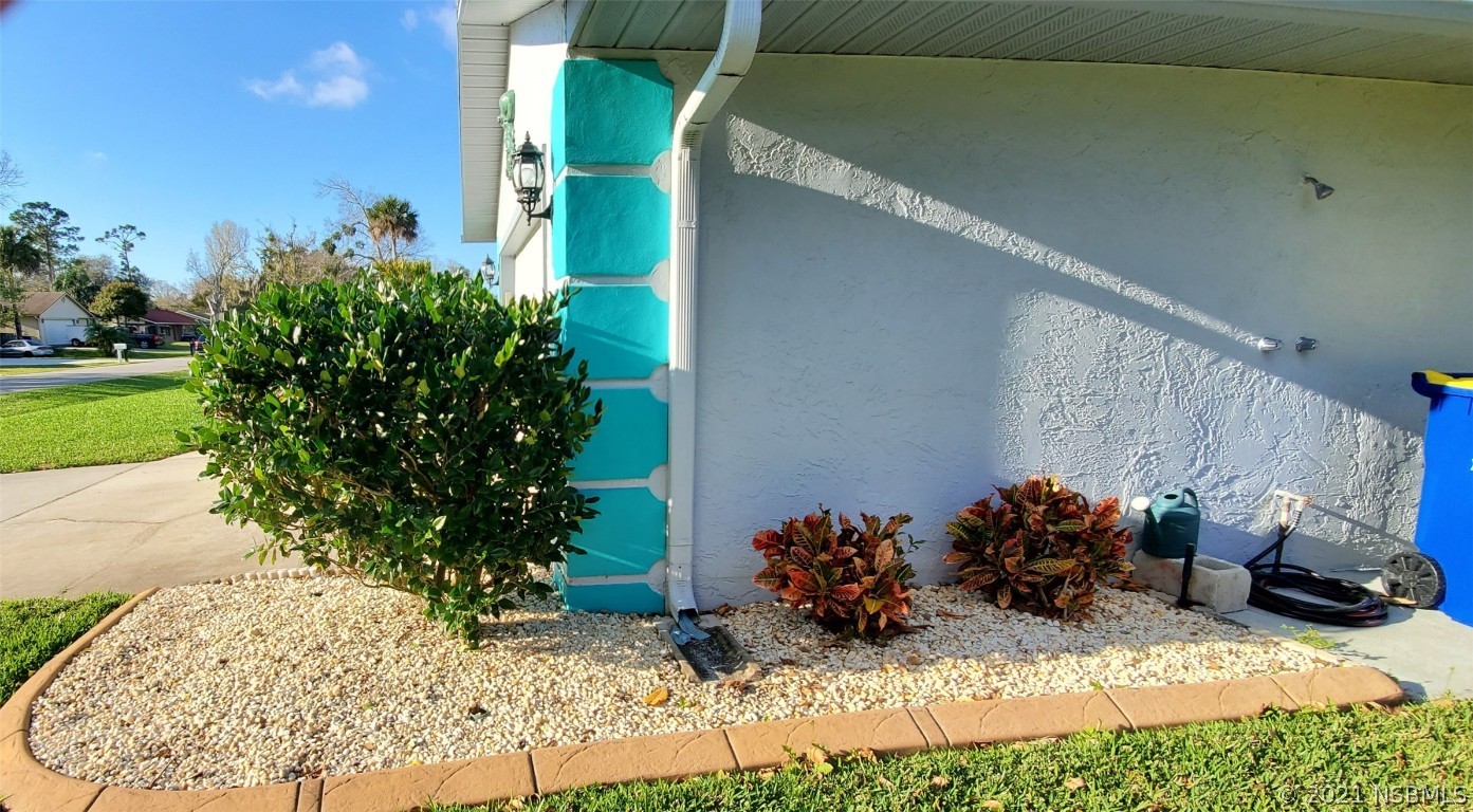 2219 Umbrella Tree Drive Edgewater, FL 32141 - Photo 7 of 45 a view of a backyard with plants and a tree