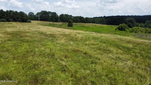 $68,000 | 1 County Road 444, Philadelphia, MS 39350