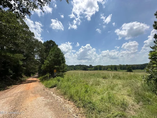 $68,000 | 1 County Road 444, Philadelphia, MS 39350