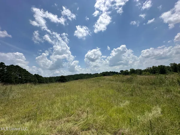 $68,000 | 1 County Road 444, Philadelphia, MS 39350
