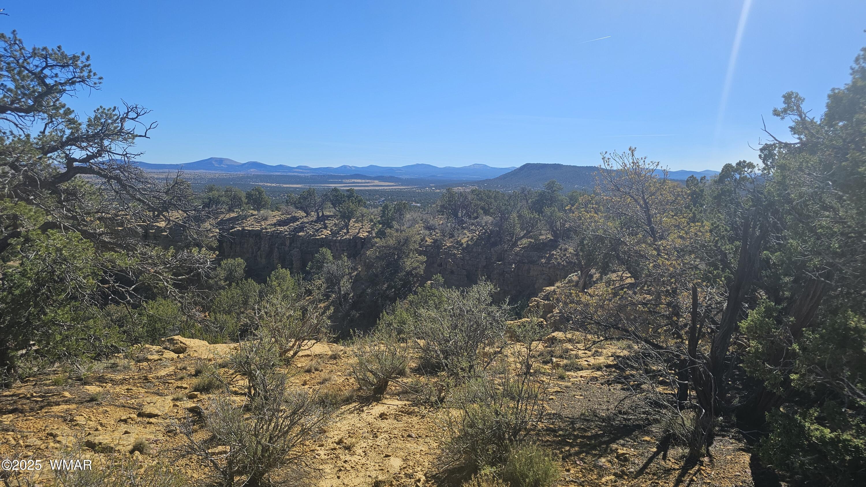 4 County Road Concho, AZ 85924 - Photo 17 of 28