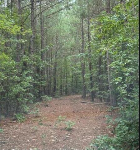N1 Old Edgefield Road Troy, SC 29848 - Photo 6 of 6 Screenshot 2025-08-19 091723