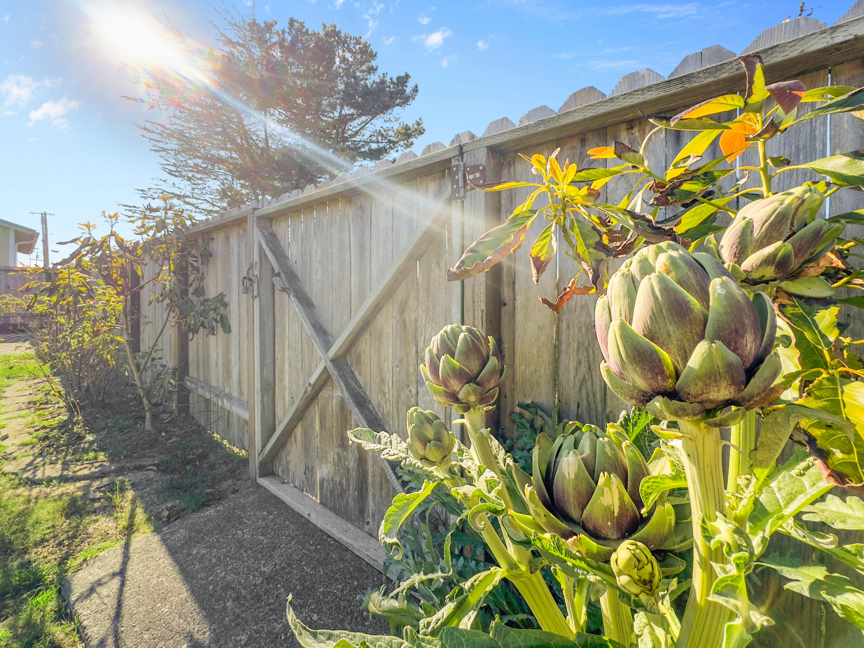 6571 3rd Street Fields Landing, CA 95503 - Photo 13 of 30 27-print-606D8DF8-5DBA-4FFD-959C-FA8175E