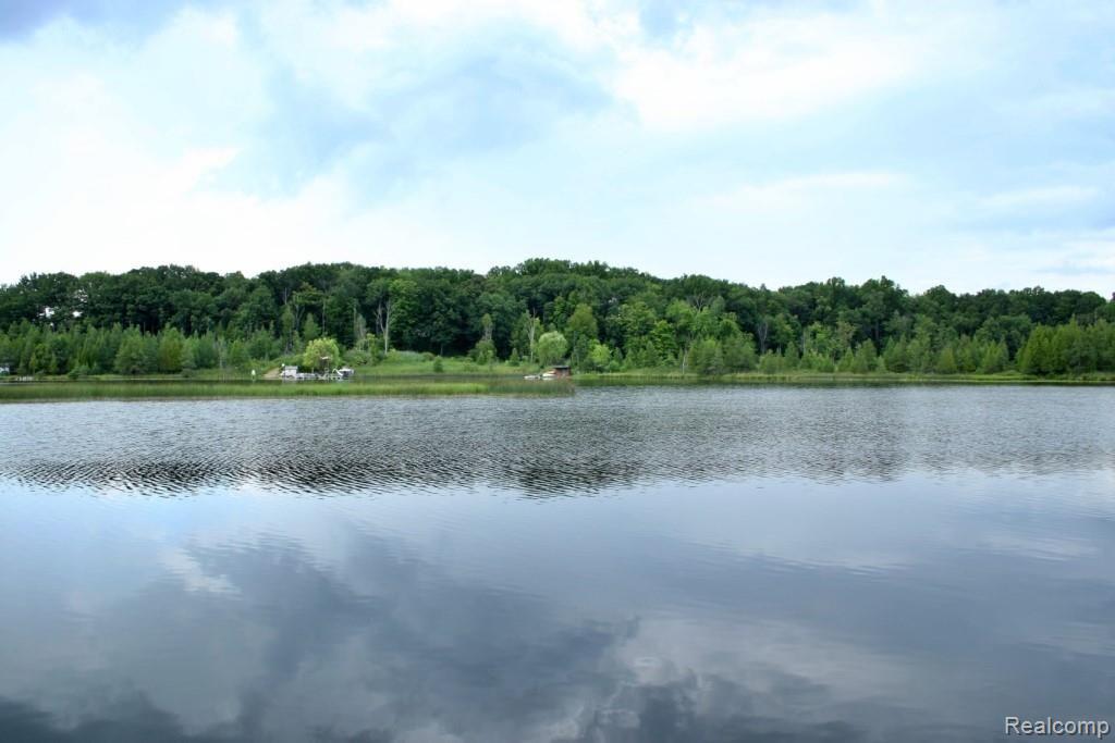 1763 Birch Road Attica, MI 48412 - Photo 14 of 91 2G9A1249 2.jpg