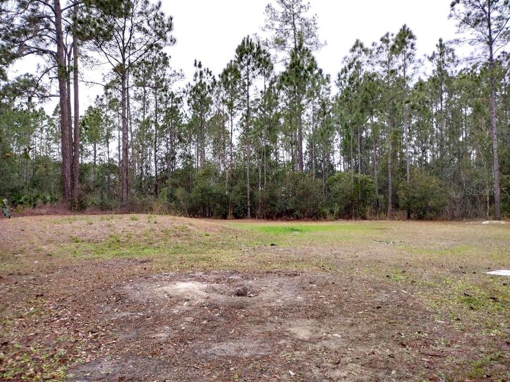 1568 Hazelnut Street Bunnell, FL 32110 - Photo 19 of 19 a view of outdoor space with trees