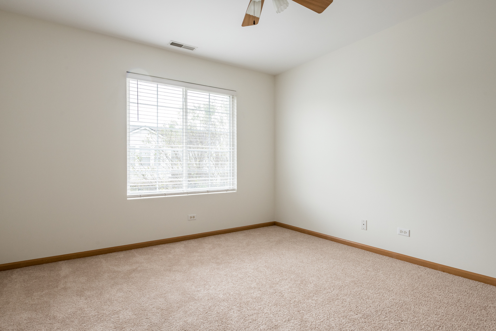 768 County Line Road Aurora, IL 60502 - Photo 11 of 15