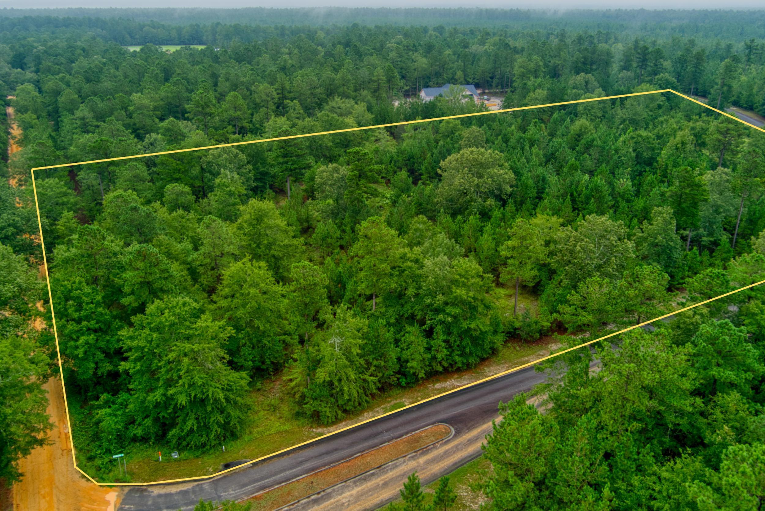 Lot 5 Cooks Pond Road Windsor, SC 29856 - Photo 2 of 23