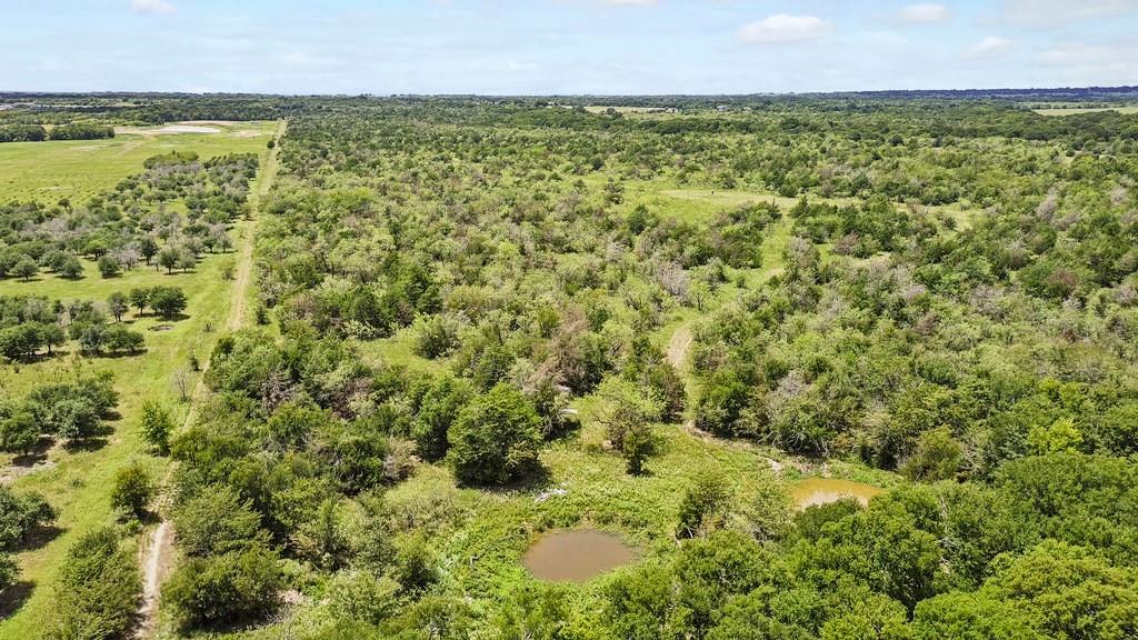 885 Cr 244 Road Mexia, TX 76667 - Photo 4 of 8 Bird's eye view