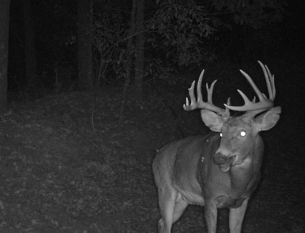 885 Cr 244 Road Mexia, TX 76667 - Photo 6 of 8