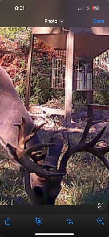 885 Cr 244 Road Mexia, TX 76667 - Photo 7 of 8