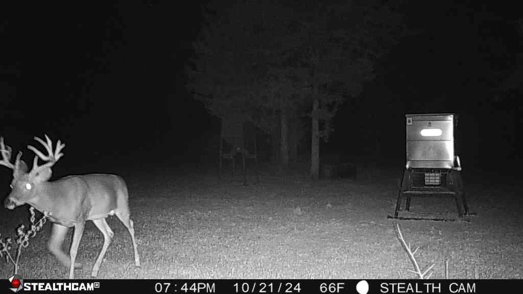885 Cr 244 Road Mexia, TX 76667 - Photo 8 of 8 View of property wildlife visitors