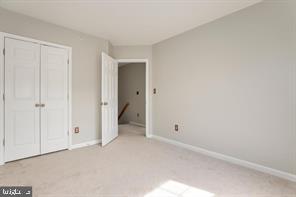 46390 Monocacy Square Sterling, VA 20165 - Photo 19 of 20 Secondary BDR w double closet