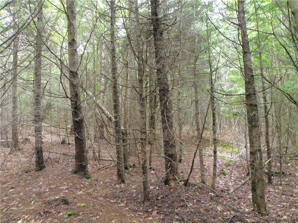 0 East E Ridge Cooper, ME 04657 - Photo 13 of 15 Photo